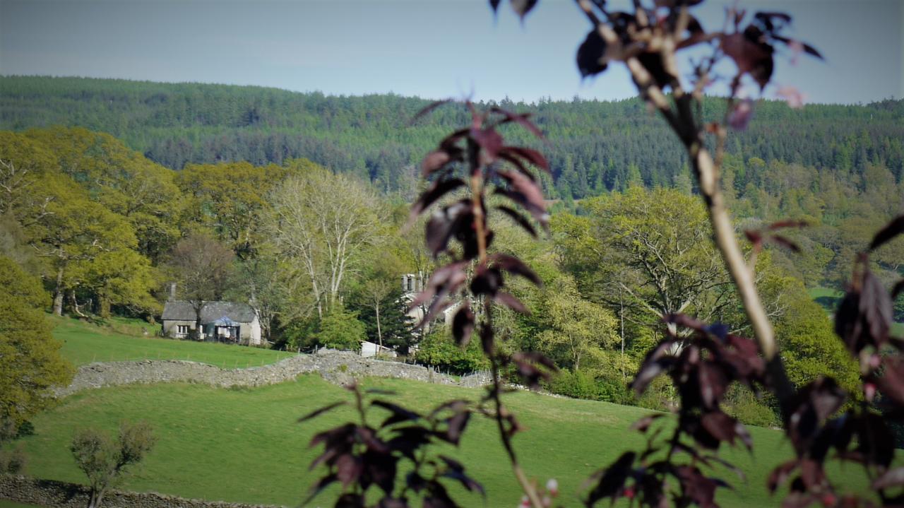 Shepherds Bridge B&B Coniston Exterior foto
